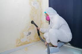 Mold Remediation for Vacation Homes in Powell, AL